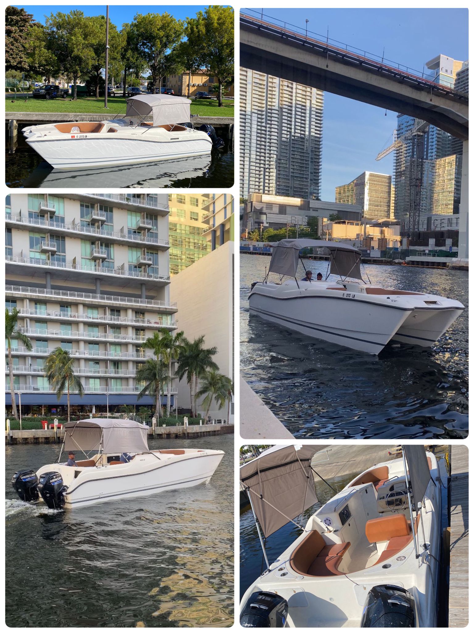 Alfonso profile photo